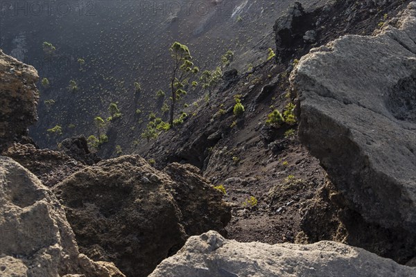 View into the crater of the volcano San Antonio