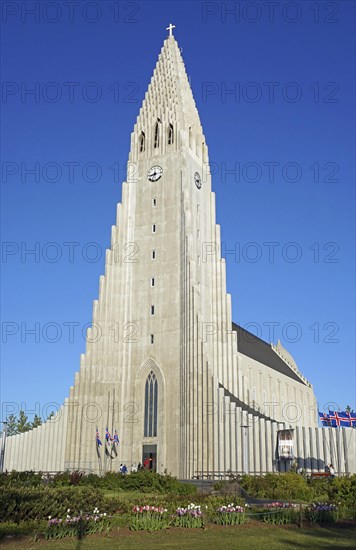 Hallgrimskirkja or Hallgrims Church Church