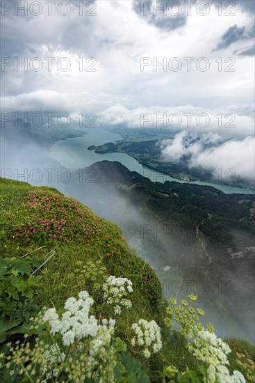 Cloud-covered lake