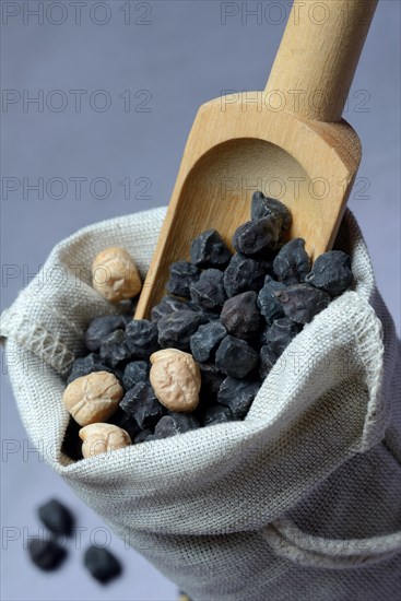 Black and white chick peas in sacks with wooden shovel