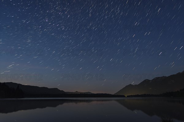 European Starling trails at the Barmasee