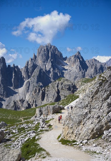 Mountain hiker