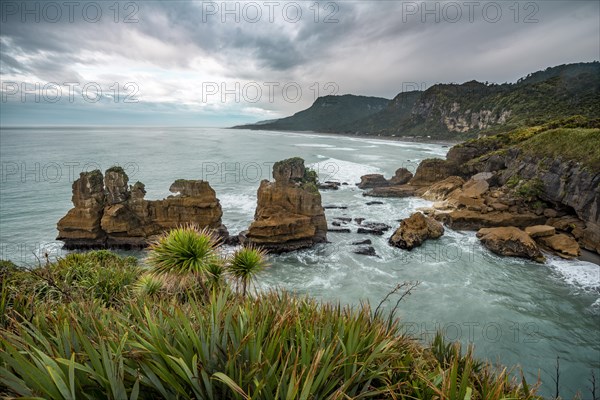 Coastal landscape of sandstone rocks