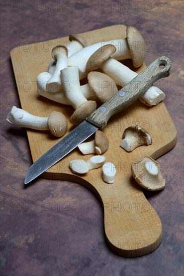 Seitlings on wooden board and knife