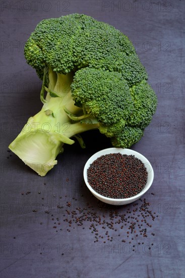 Broccoli seeds in shell and broccoli