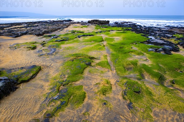 Coastal landscape near Burren