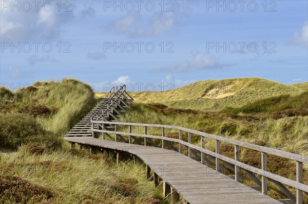 Wooden boardwalk in the dune area near Norddorf