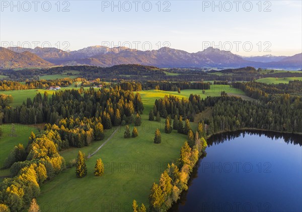 Schmutterweiher in the evening light