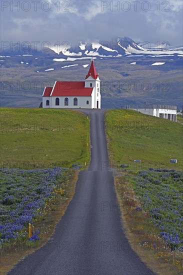 Road leads to the church of Ingjaldsholl behind the Snaefellsnessjoekull