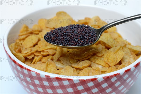 Broccoli seeds in spoon and bowl with cornflakes