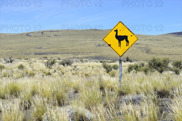 Steppe with shield Attention Llama