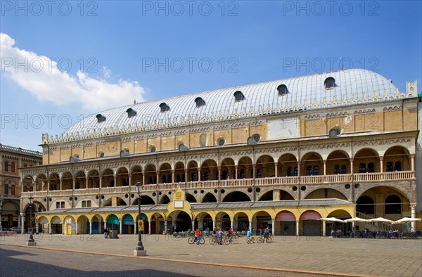 Piazza delle Erbe with Palazzo della Ragione