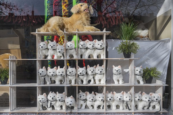 Shop window with toy dogs