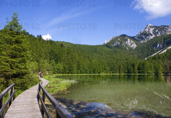 Chiemgau Alps