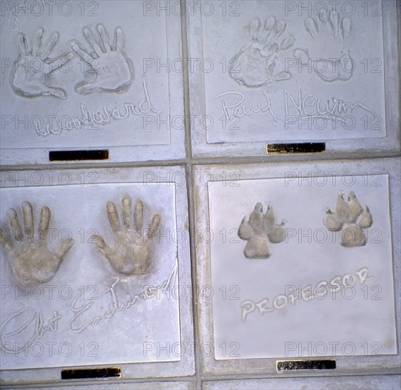 Jack Russell footprints next to celebrity handprints
