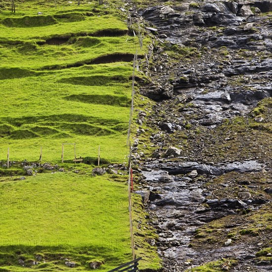 Well-tended hayfield on the left and untreated soil on the right