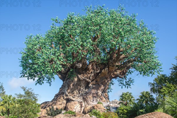 Tree Tree of Life