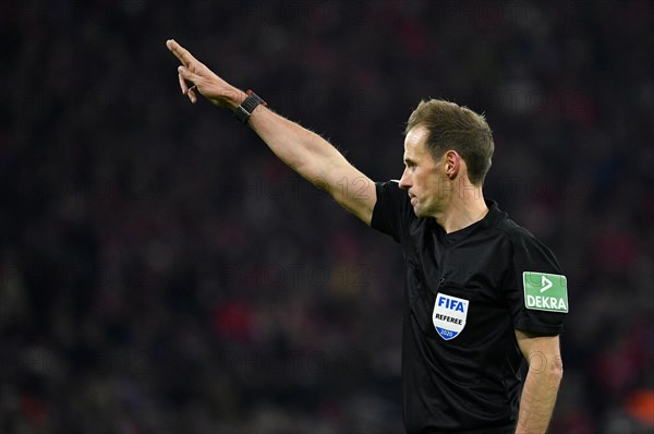 Referee Referee Sascha Stegemann