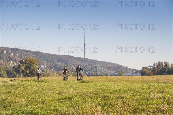 Cyclists on the Elbe cycle path near the Blue Wonder