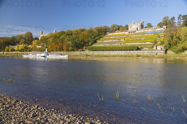 Elbe steamer on the Elbe