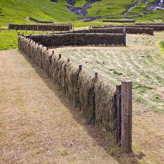 Traditional drying rack for drying grass and making hay