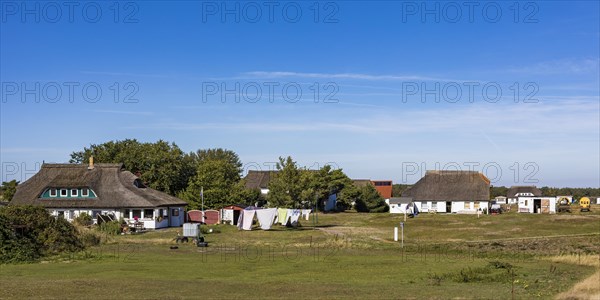 Residential houses