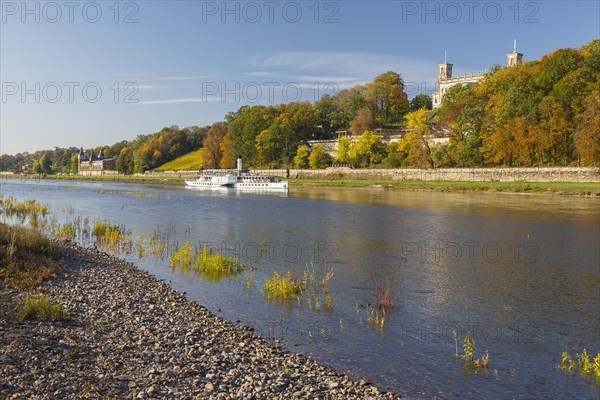 Autumn on the banks of the Elbe