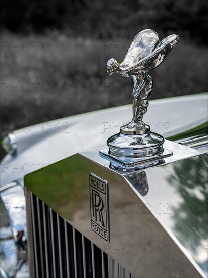 Rolls Royce silver shadow