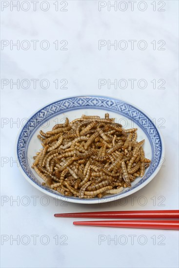 Dried mealworms in bowl and chopsticks