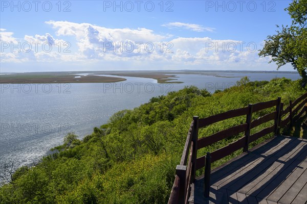 View from a cliff