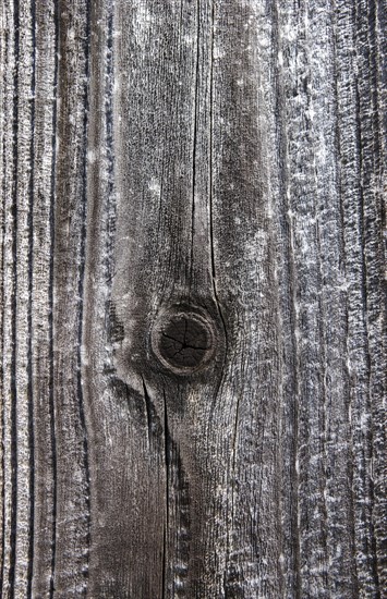 Weathered wood with knothole