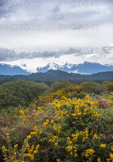 View of the New Zealand Alps