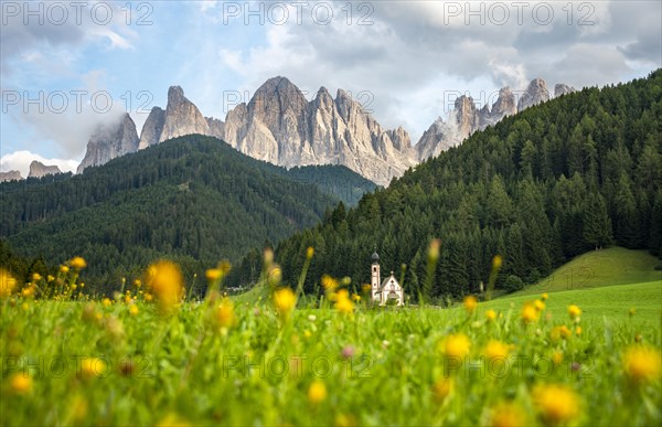 Church of St. John in Ranui with flower meadow