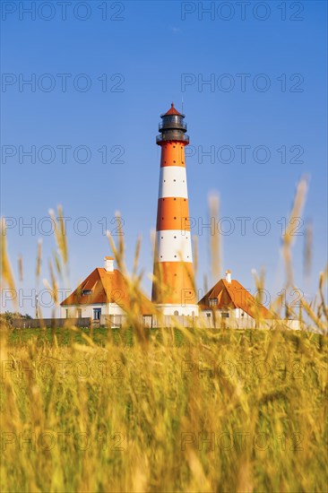 Lighthouse Westerheversand