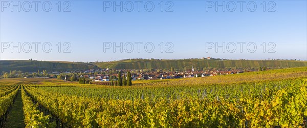 Nordheim am Main and behind Escherndorf