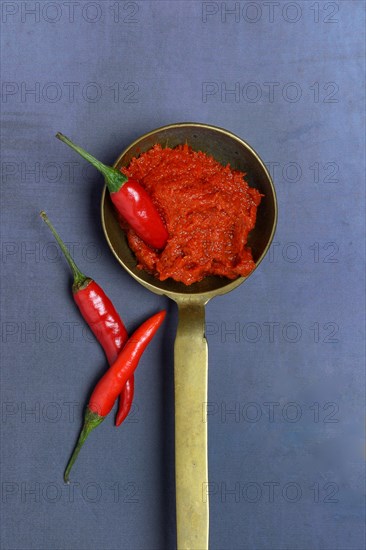 Red Thai curry paste in brass ladle and chilli peppers