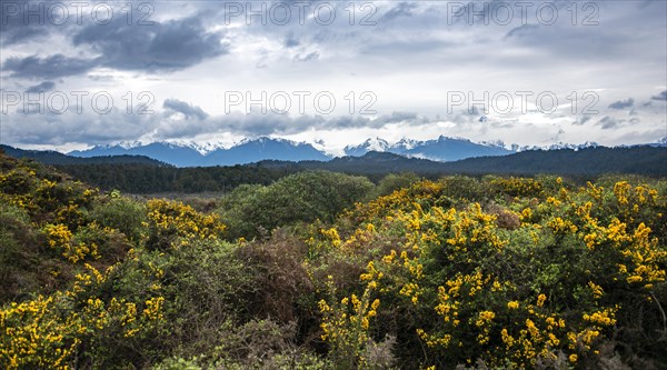 View of the New Zealand Alps