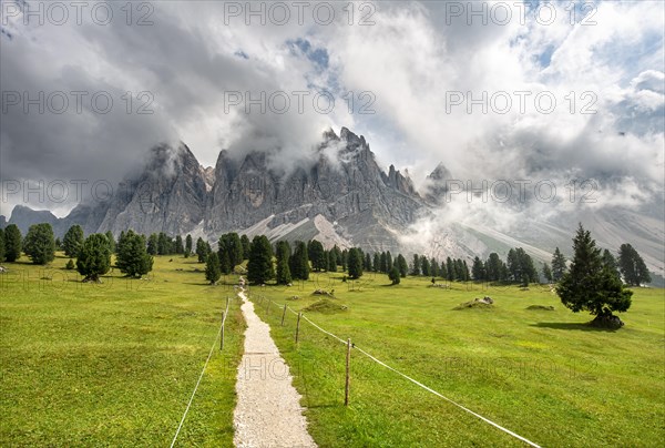 Hiking trail at the Gschnagenhardt Alm