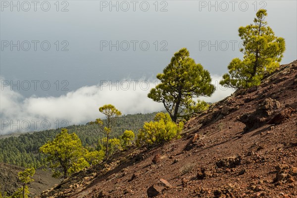 Landscape at the volcano Martin