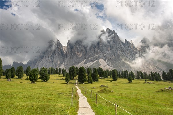 Hiking trail at the Gschnagenhardt Alm