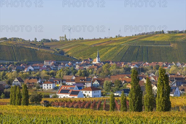 Nordheim am Main and behind Escherndorf