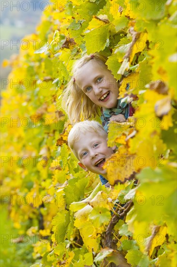 Boy and girl looking through a row of vines