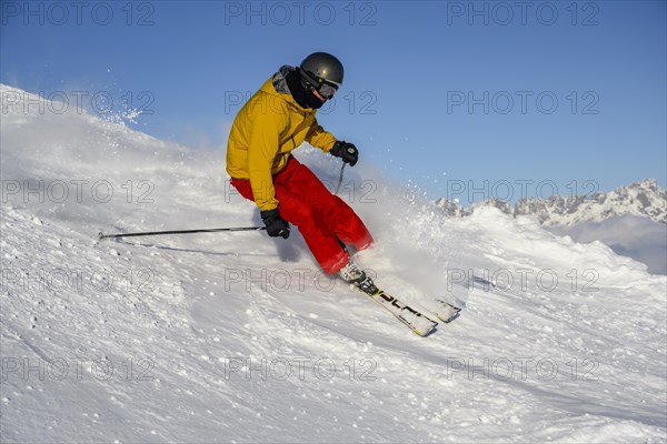 Skier