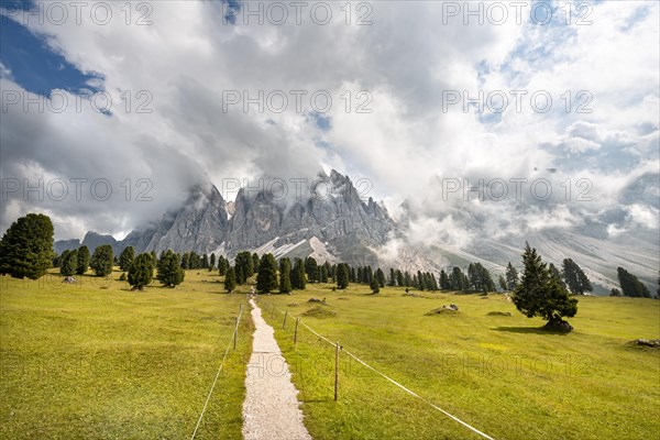 Hiking trail at the Gschnagenhardt Alm