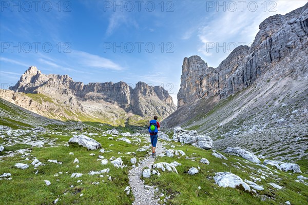 Hiker