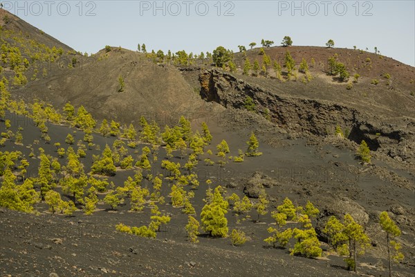 View along the hiking trail to the volcano Martin