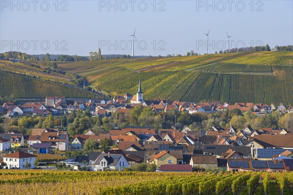 Nordheim am Main and behind Escherndorf