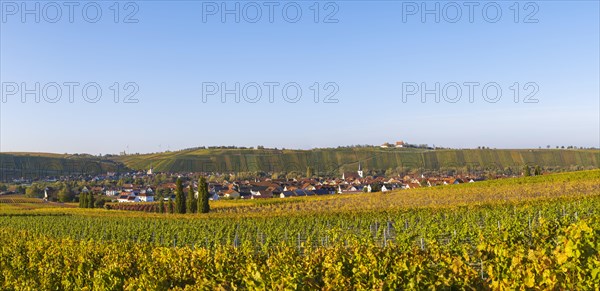 Nordheim am Main and behind Escherndorf