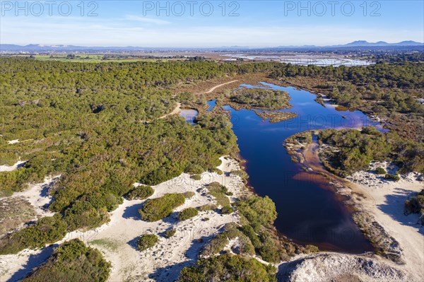 Brackish water lagoon