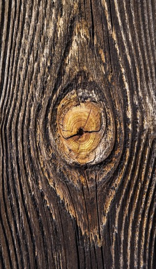 Weathered wood with knothole